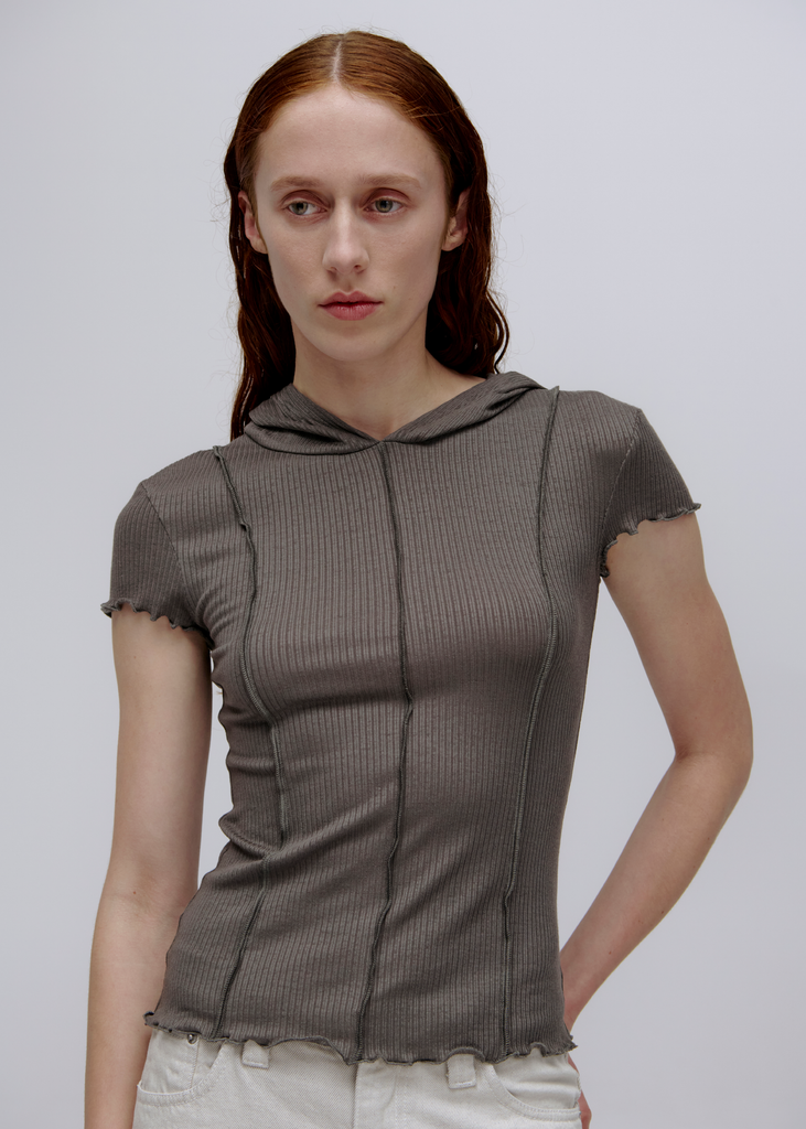 Segment Hooded Tee ~ Pumice